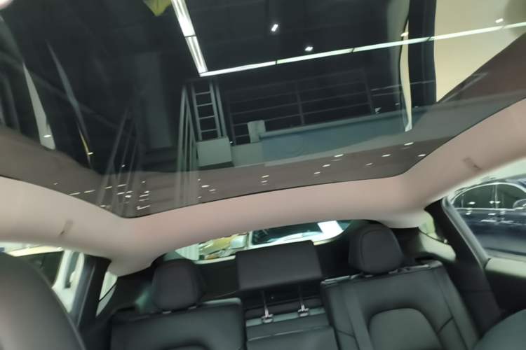 Used Tesla Model Y 2024 Rear-Wheel-Drive Version Headliner