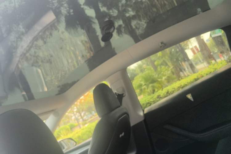 Used Tesla Model Y 2024 Rear-Wheel-Drive Version Headliner
