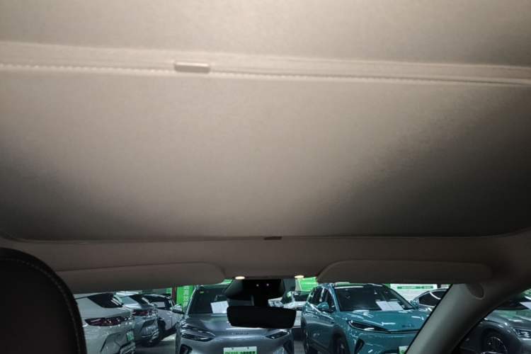Used Tesla Model Y 2024 Rear-Wheel-Drive Version Headliner