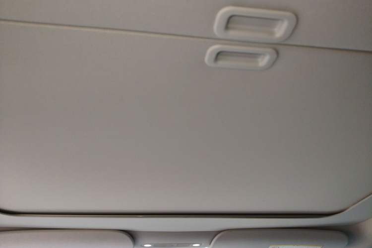 Used Tesla Model Y 2024 Rear-Wheel-Drive Version Headliner