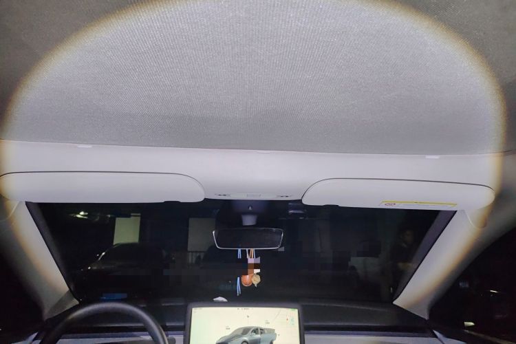 Used Tesla Model Y 2024 Rear-Wheel-Drive Version Headliner