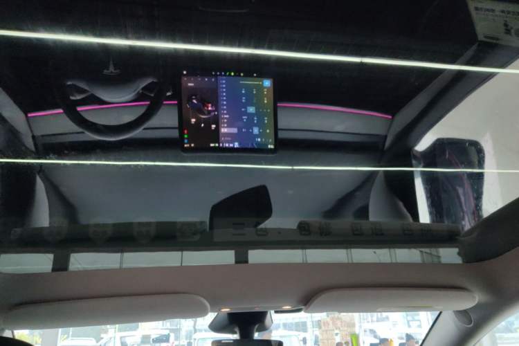 Used Tesla Model Y 2024 Rear-Wheel-Drive Version Headliner