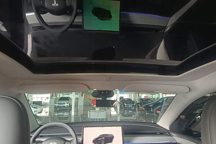 Used Tesla Model Y 2024 Rear-Wheel-Drive Version Headliner