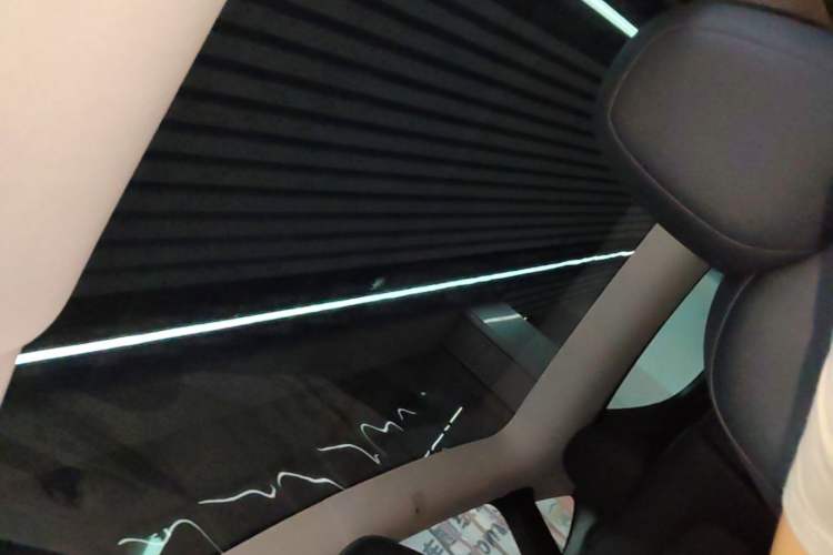 Used Tesla Model Y 2024 Rear-Wheel-Drive Version Headliner