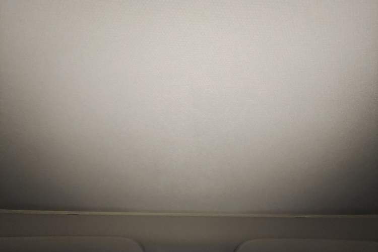 Used Tesla Model Y 2024 Rear-Wheel-Drive Version Headliner