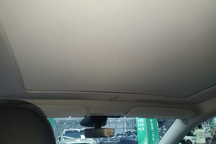 Used Tesla Model Y 2024 Rear-Wheel-Drive Version Headliner