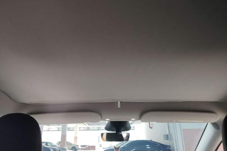 Used Tesla Model Y 2024 Rear-Wheel-Drive Version Headliner