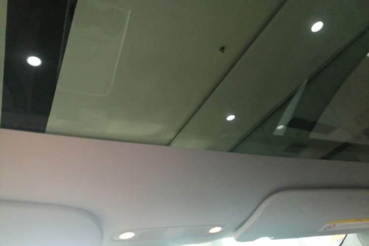Used Tesla Model Y 2024 Rear-Wheel-Drive Version Headliner
