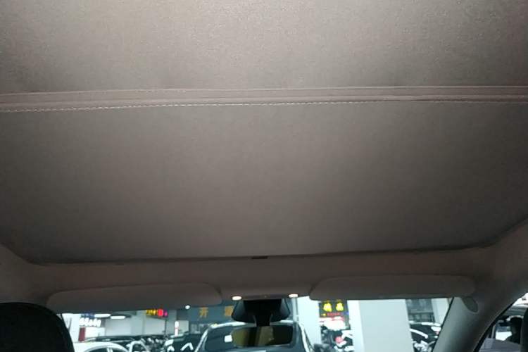 Used Tesla Model Y 2024 Rear-Wheel-Drive Version Headliner