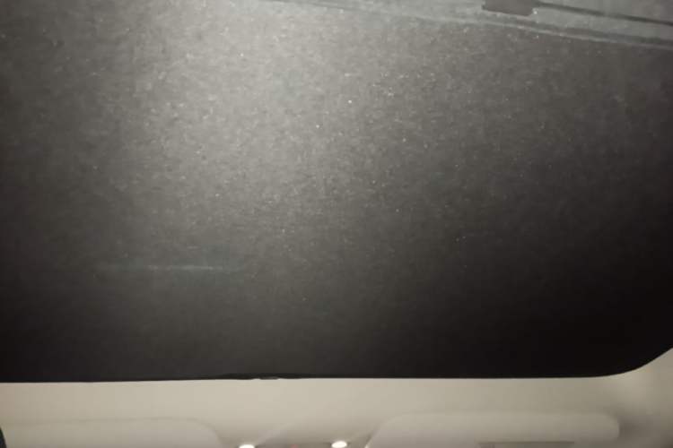 Used Tesla Model Y 2024 Rear-Wheel-Drive Version Headliner