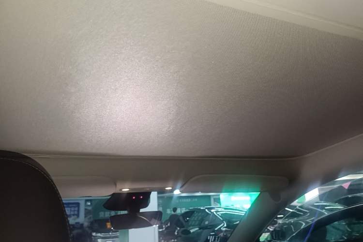 Used Tesla Model Y 2024 Rear-Wheel-Drive Version Headliner