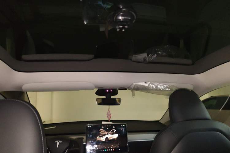Used Tesla Model Y 2024 Long-Range All-Wheel-Drive Version Headliner