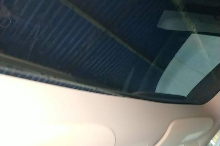Used Tesla Model Y 2024 Rear-Wheel-Drive Version Headliner