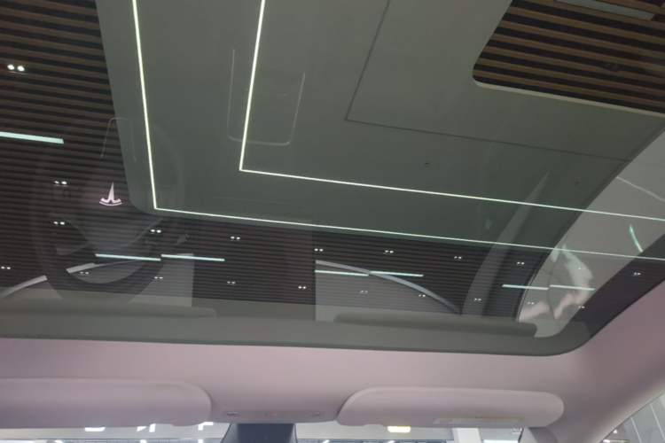 Used Tesla Model Y 2024 Rear-Wheel-Drive Version Headliner