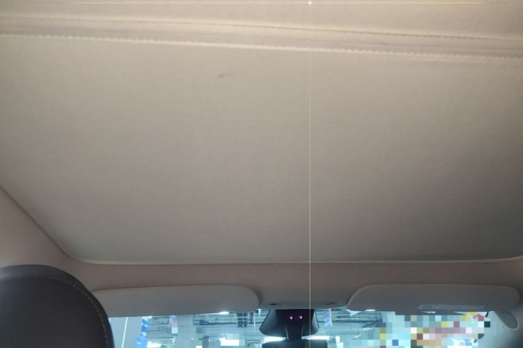Used Tesla Model Y 2024 Rear-Wheel-Drive Version Headliner