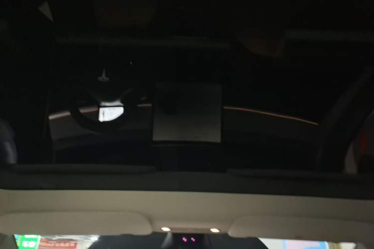 Used Tesla Model Y 2024 Rear-Wheel-Drive Version Headliner