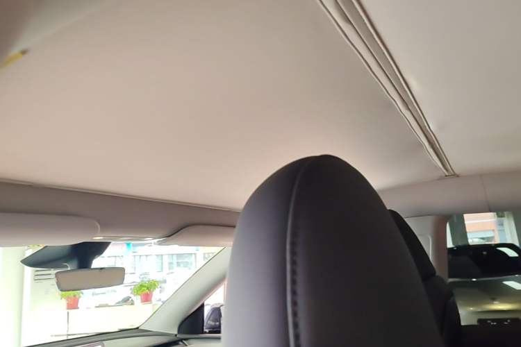 Used Tesla Model Y 2024 Rear-Wheel-Drive Version Headliner
