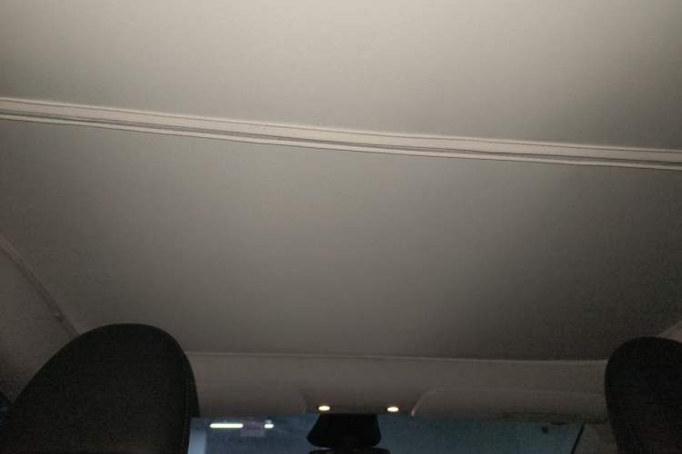 Used Tesla Model Y 2024 Rear-Wheel-Drive Version Headliner