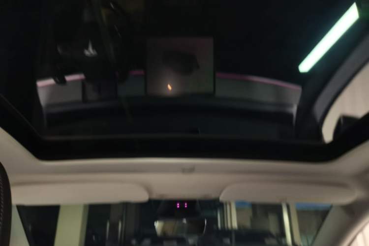 Used Tesla Model Y 2024 Rear-Wheel-Drive Version Headliner