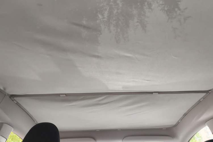 Used Tesla Model Y 2024 Long-Range All-Wheel-Drive Version Headliner
