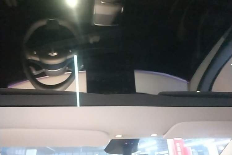 Used Tesla Model Y 2024 Rear-Wheel-Drive Version Headliner