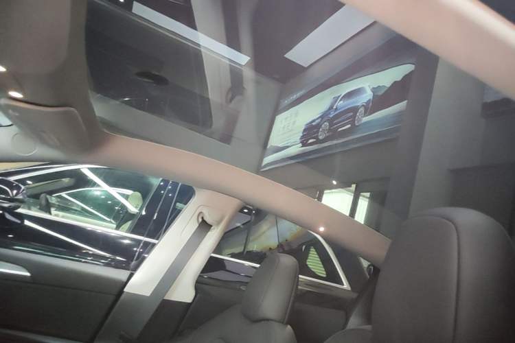 Used Tesla Model Y 2024 Rear-Wheel-Drive Version Headliner