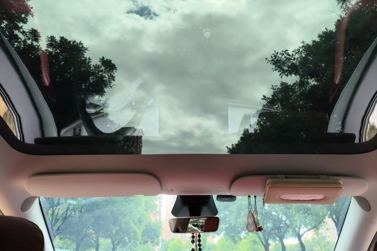 Used Tesla Model Y 2024 Rear-Wheel-Drive Version Headliner
