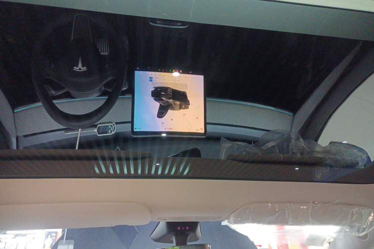 Used Tesla Model Y 2024 Rear-Wheel-Drive Version Headliner