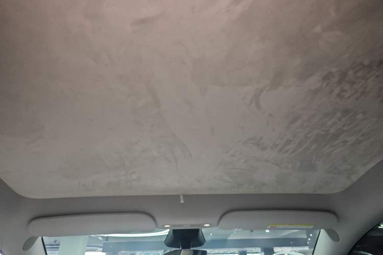 Used Tesla Model Y 2024 Rear-Wheel-Drive Version Headliner
