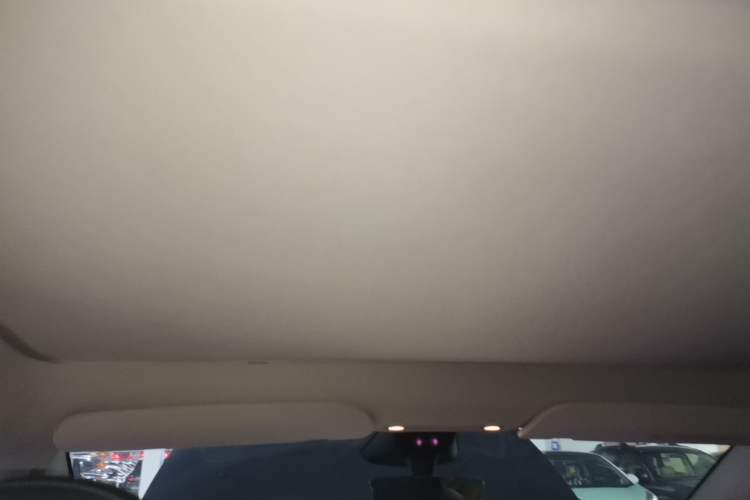 Used Tesla Model Y 2024 Rear-Wheel-Drive Version Headliner