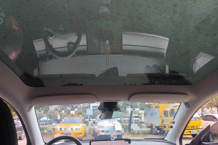 Used Tesla Model Y 2024 Rear-Wheel-Drive Version Headliner