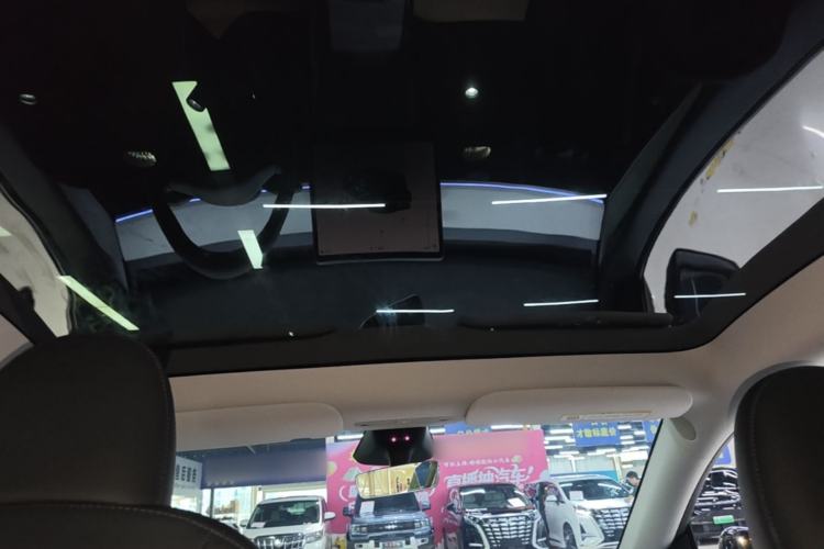 Used Tesla Model Y 2024 Rear-Wheel-Drive Version Headliner