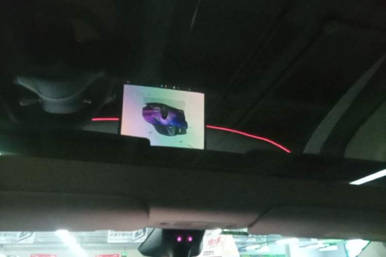 Used Tesla Model Y 2024 Rear-Wheel-Drive Version Headliner