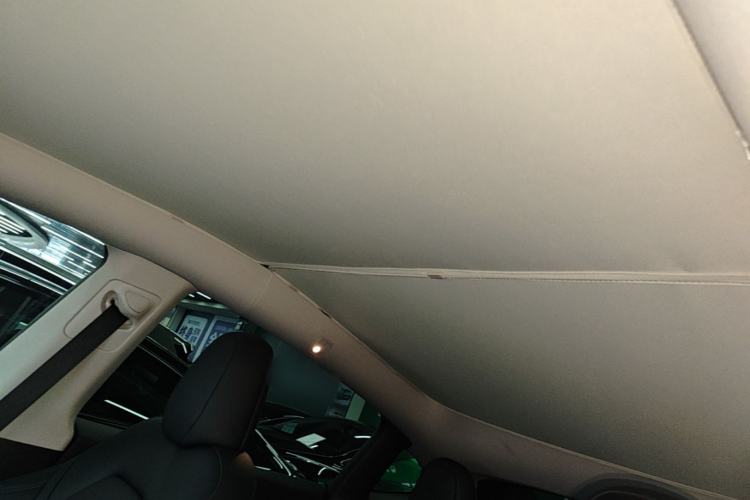 Used Tesla Model Y 2024 Rear-Wheel-Drive Version Headliner