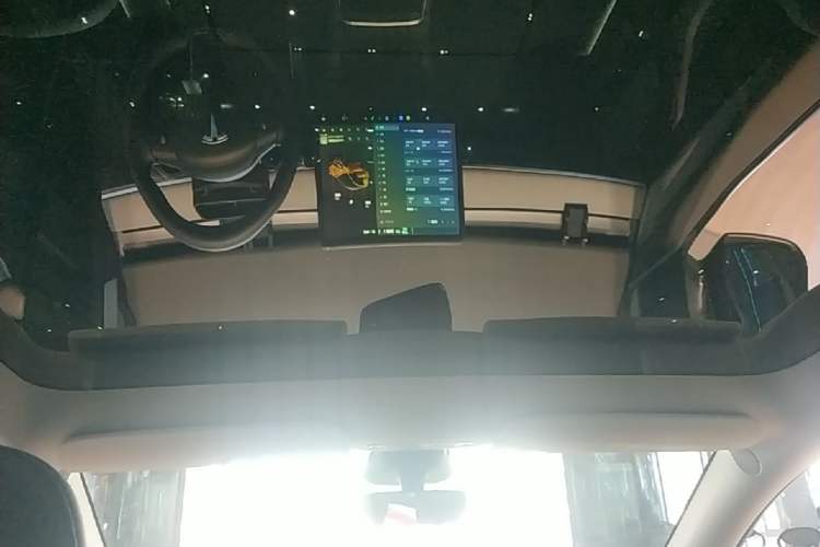 Used Tesla Model Y 2024 Rear-Wheel-Drive Version Headliner