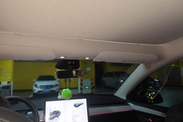 Used Tesla Model Y 2024 Long-Range All-Wheel-Drive Version Headliner