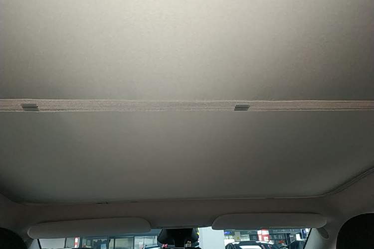 Used Tesla Model Y 2024 Rear-Wheel-Drive Version Headliner