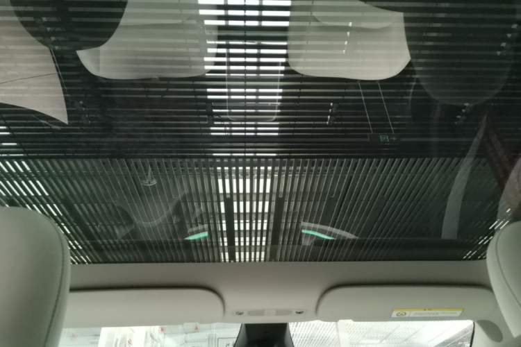 Used Tesla Model Y 2024 Rear-Wheel-Drive Version Headliner