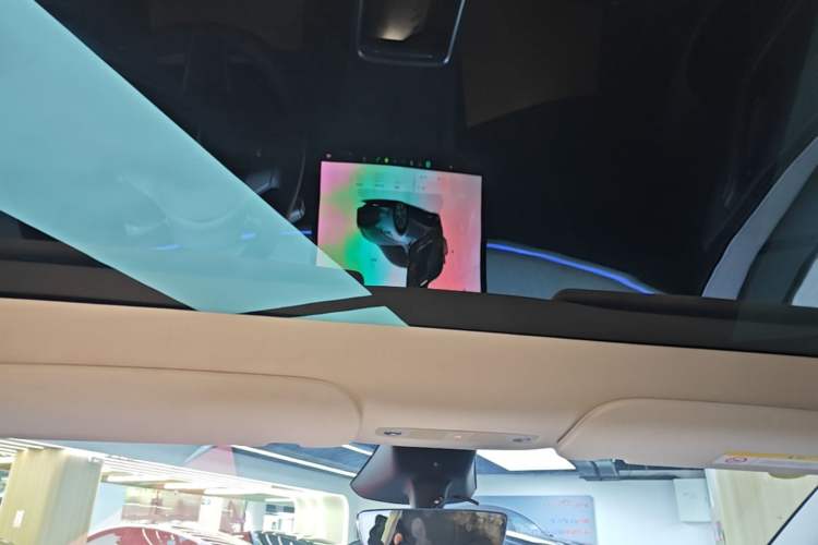 Used Tesla Model Y 2024 Rear-Wheel-Drive Version Headliner