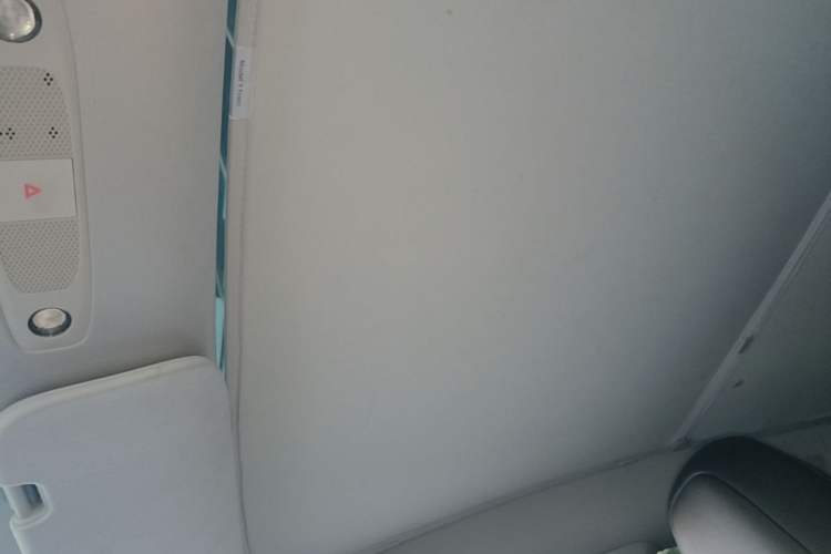 Used Tesla Model Y 2024 Rear-Wheel-Drive Version Headliner