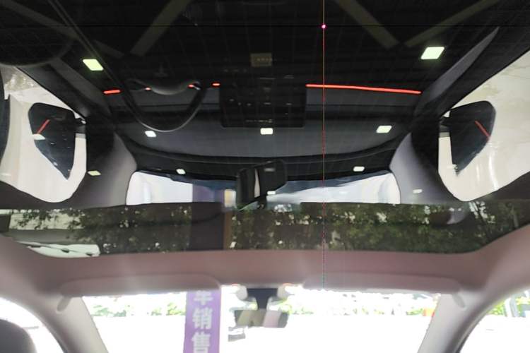 Used Tesla Model Y 2024 Rear-Wheel-Drive Version Headliner