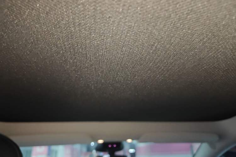 Used Tesla Model Y 2024 Rear-Wheel-Drive Version Headliner