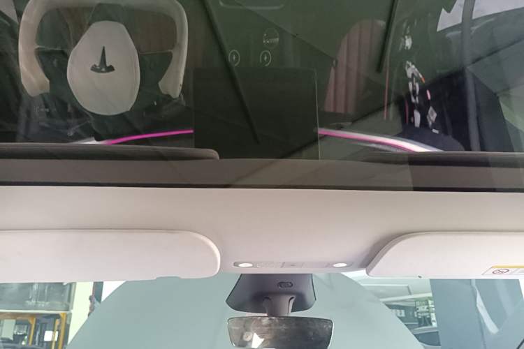Used Tesla Model Y 2024 Long-Range All-Wheel-Drive Version Headliner
