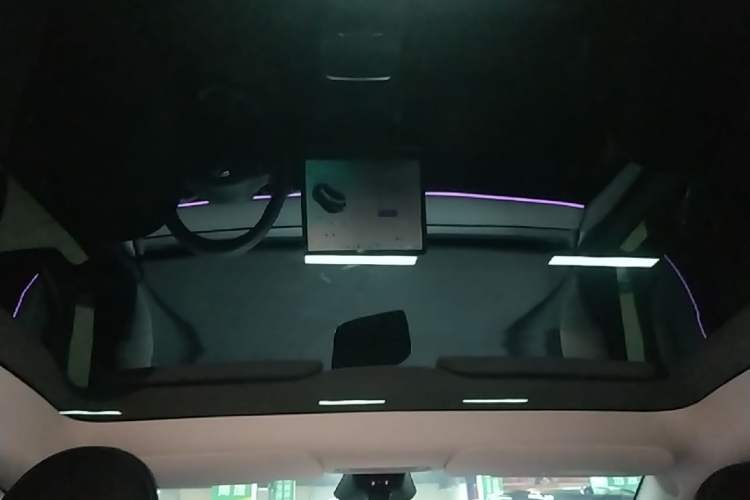 Used Tesla Model Y 2024 Rear-Wheel-Drive Version Headliner