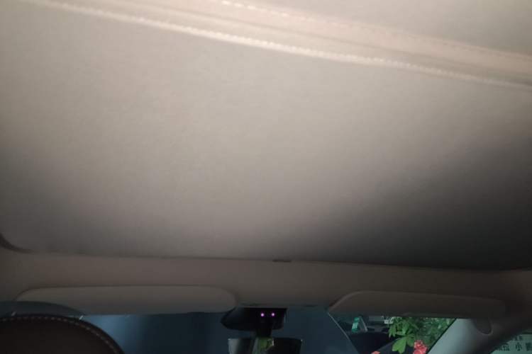 Used Tesla Model Y 2024 Rear-Wheel-Drive Version Headliner