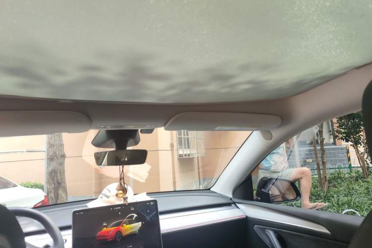 Used Tesla Model Y 2024 Rear-Wheel-Drive Version Headliner