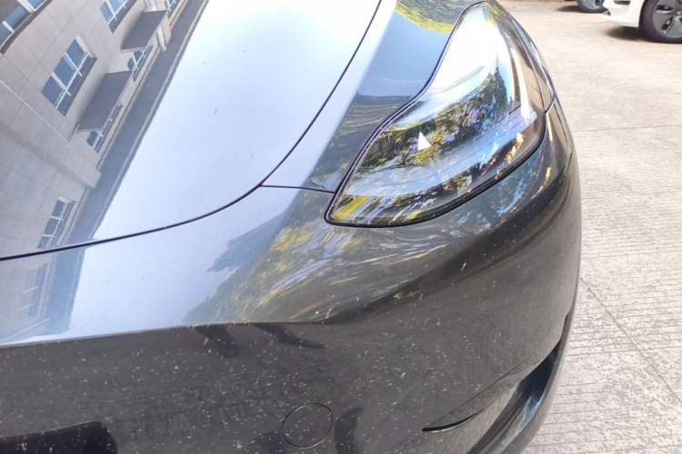Used Tesla Model Y 2024 Rear-Wheel-Drive Version Left Front Headlight