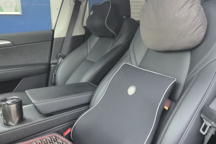 Used Tesla Model Y 2024 Rear-Wheel-Drive Version Left Front Seat