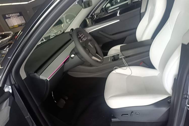 Used Tesla Model Y 2024 Rear-Wheel-Drive Version Left Front Seat