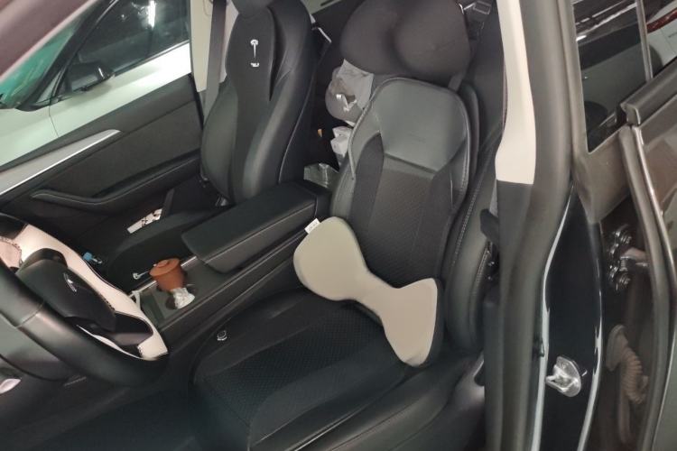 Used Tesla Model Y 2024 Rear-Wheel-Drive Version Left Front Seat